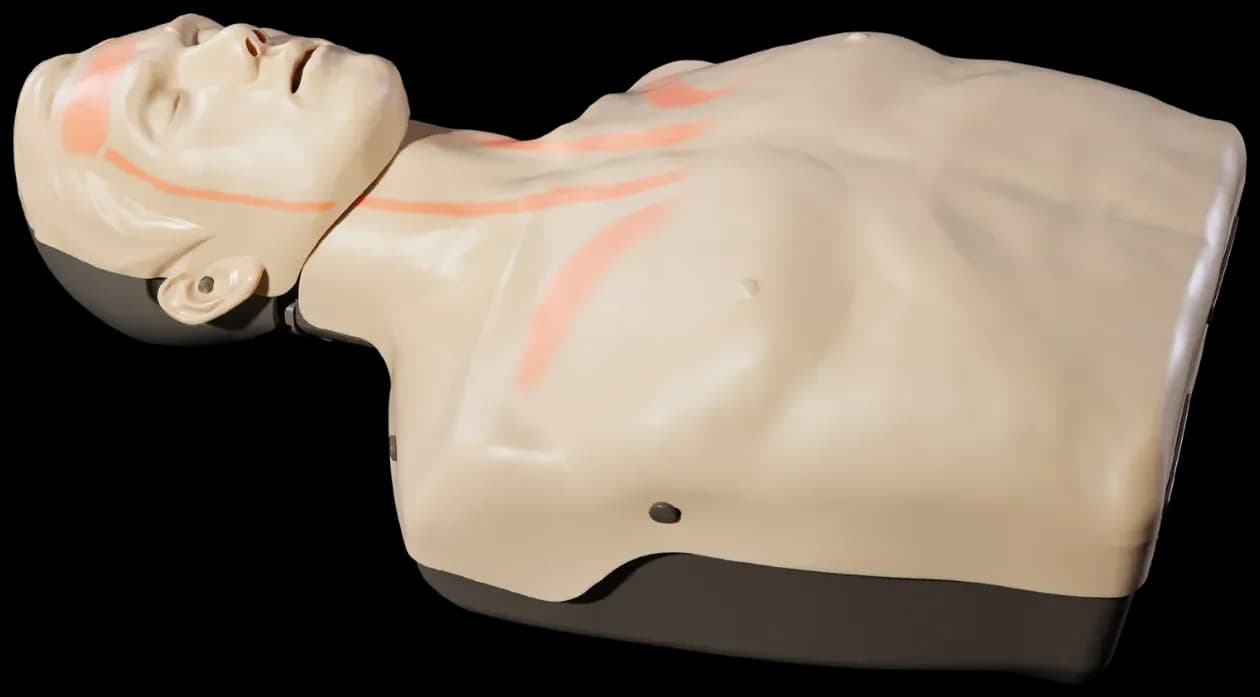 Fantom Brayden Adult Advanced