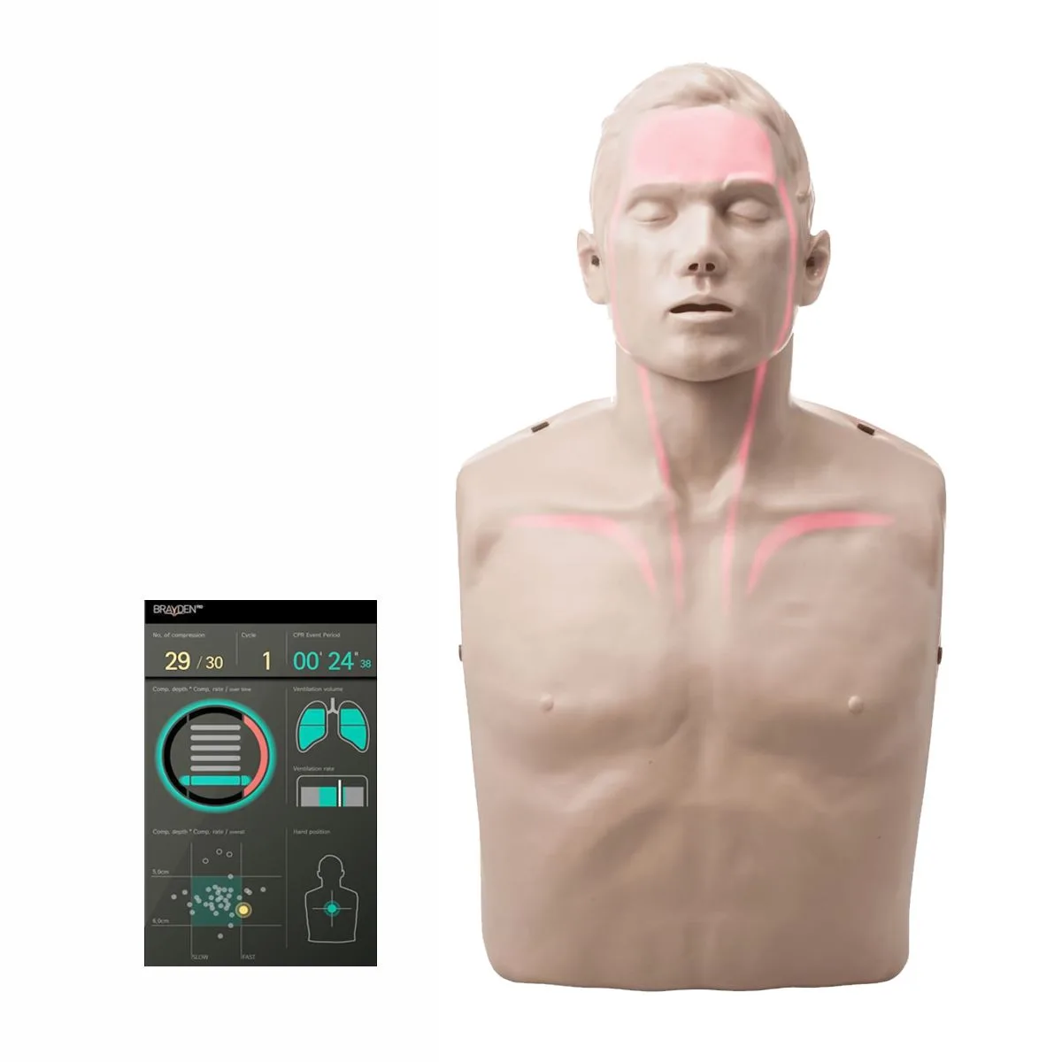 Fantom Brayden Adult PRO